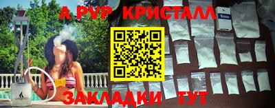 гашик Будённовск