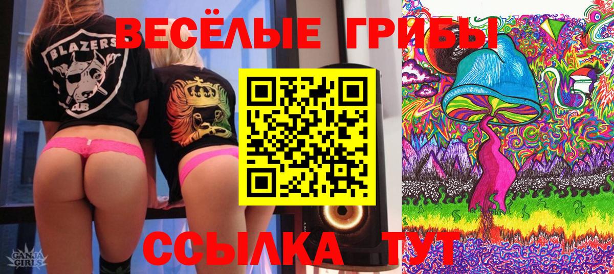 Протвино  Галлюциногенные грибы Psilocybine cubensis  магазин продажи   Вход с VPN 